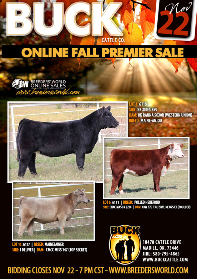 Fatsteer News BUCK CATTLE COMPANY ONLINE FALL PREMIER SALE