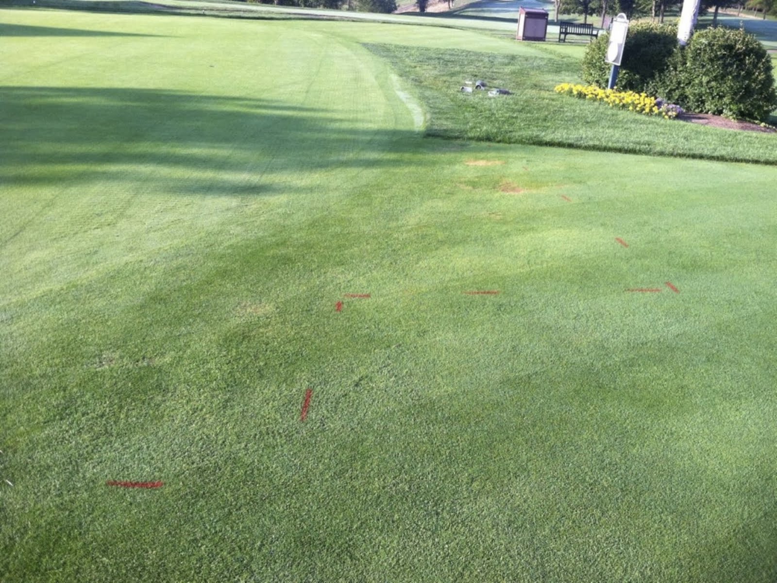 NC State Turf Pathology Do growth regulators and biostimulants cause