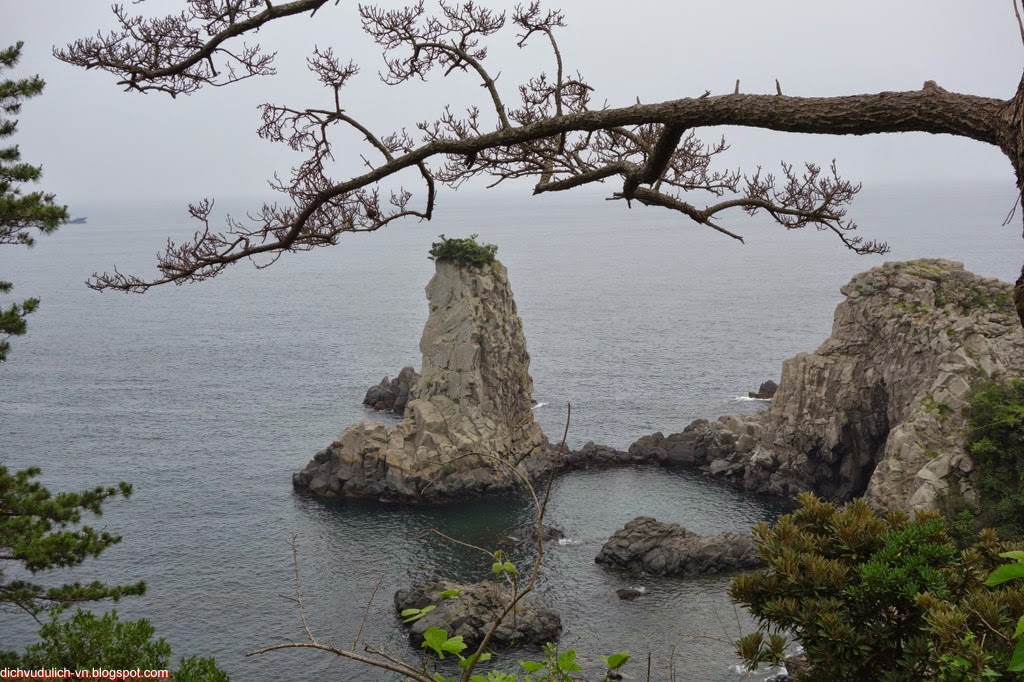 Khám phá nét đẹp đảo Jeju Hàn Quốc 20