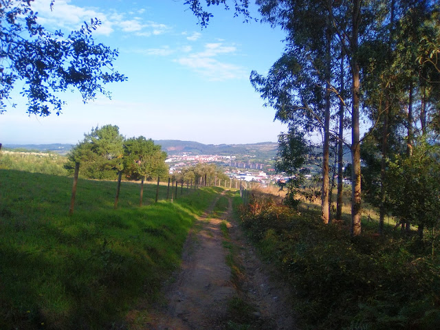 Ascenso al monte Avril. Entrando en Bilbao. Camino del Norte