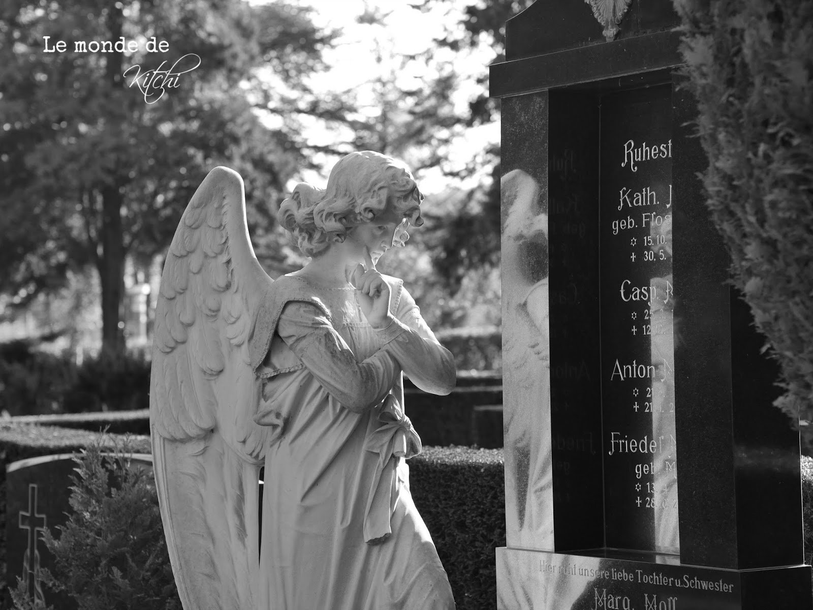 Le Monde De Kitchi Funfzehn Fakten Uber Mich Und Friedhofe