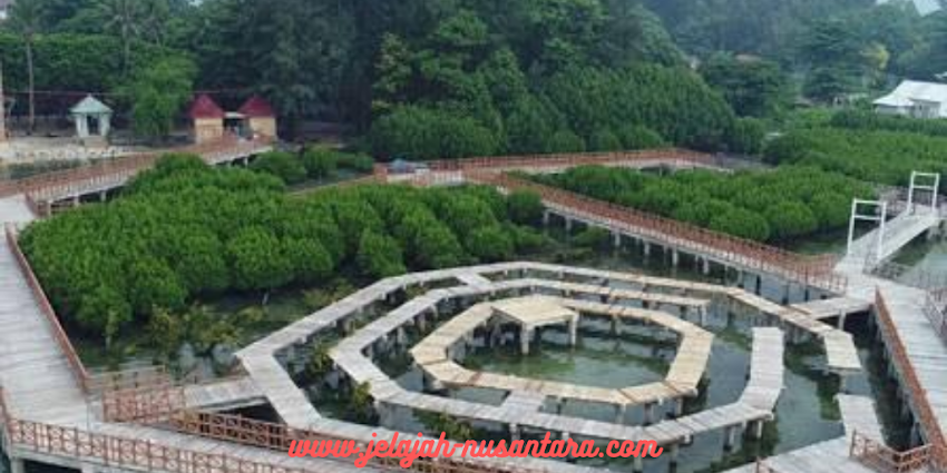 Taman Nasional Pulau Pramuka - private trip pulau pramuka paket wisata private trip pulau pramuka 2 hari 21 malam kepulauan seribu