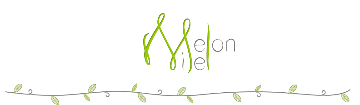MelonMiel | Blog beauté et lifestyle au naturel