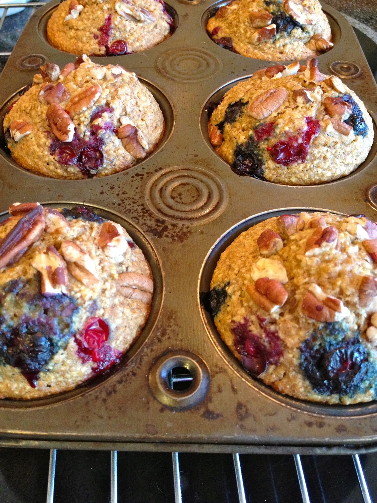 The Baked Alaska Project: Cranberry &amp; Blueberry Bran Muffins