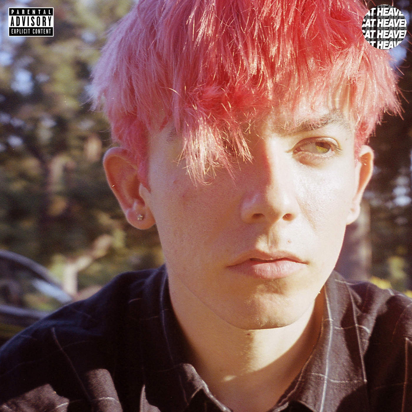 Roy Blair – Cat Heaven [iTunes Plus AAC M4A]