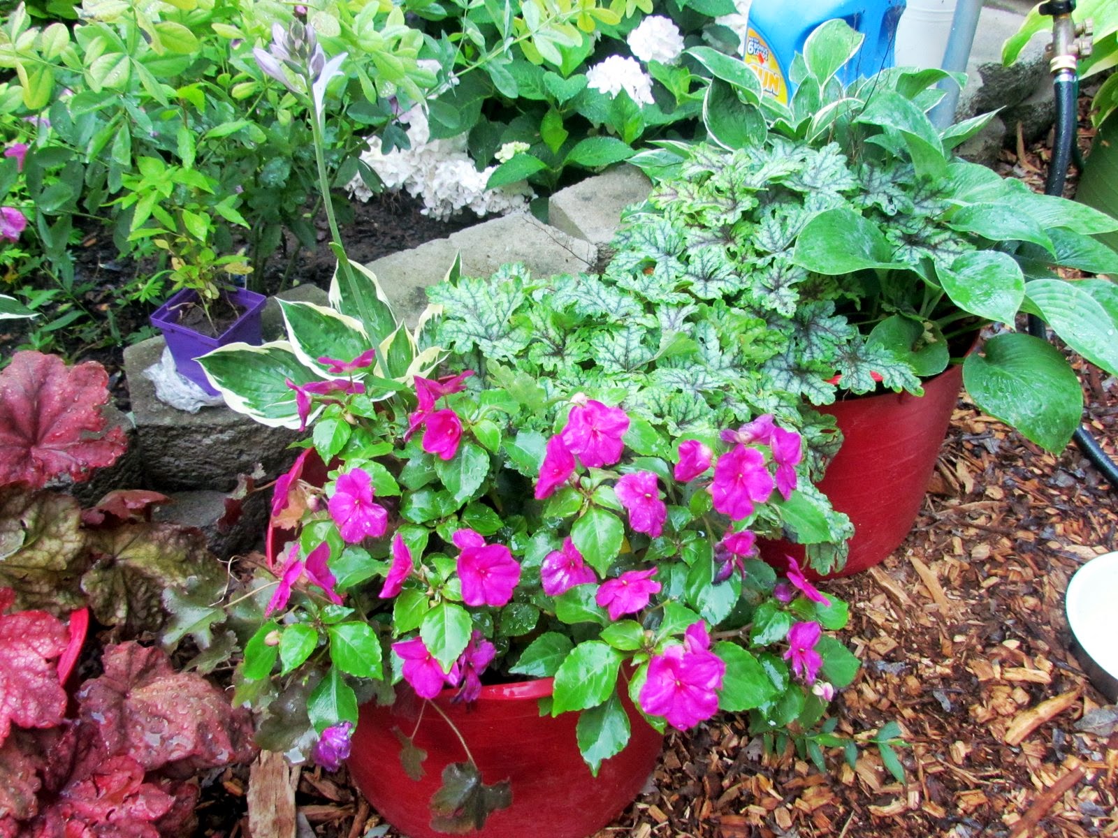 Fibermania Potted Perennials