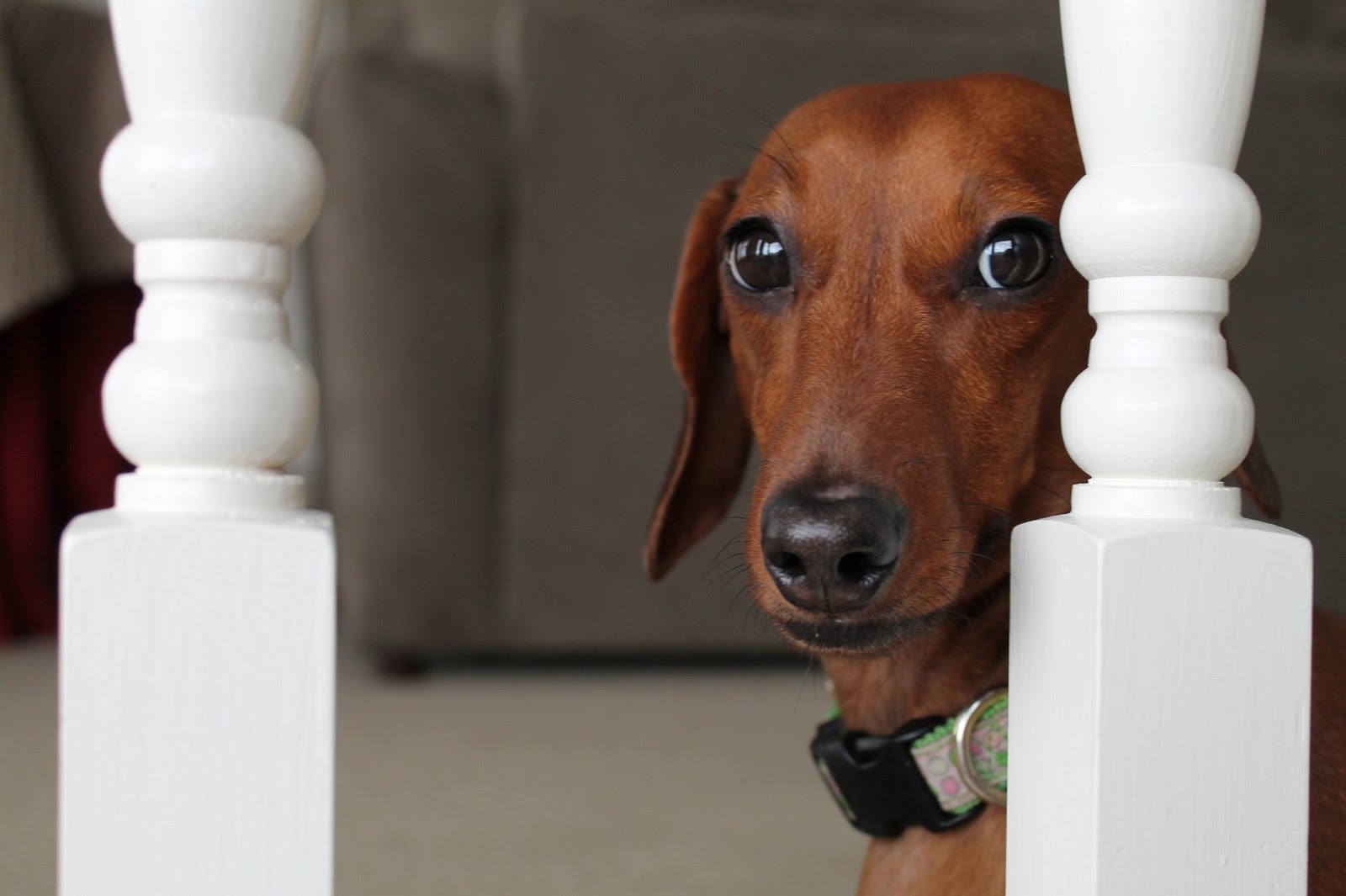 Ms. Schultz's Art Studio Focus Media Art Great Examples of Framing