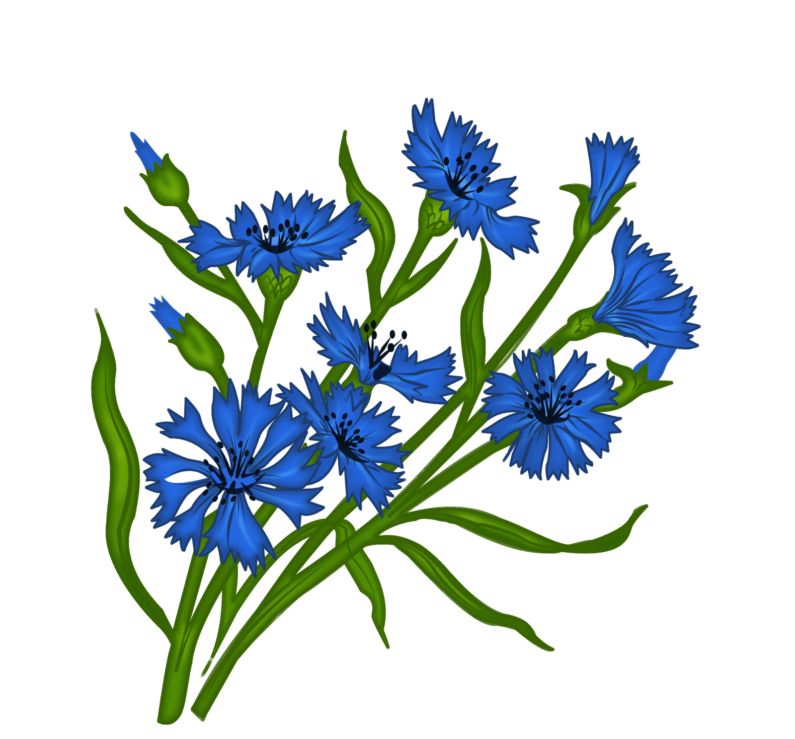 eesti