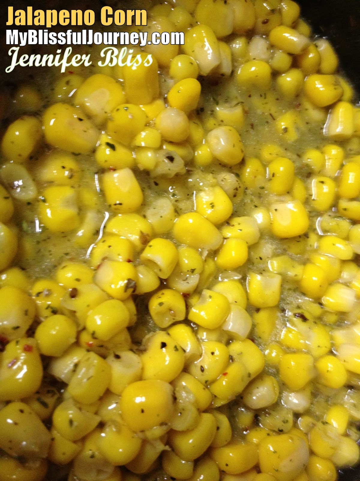 My Blissful Journey Chocolate Chia Pudding OR Triple Thick Vegan Milk