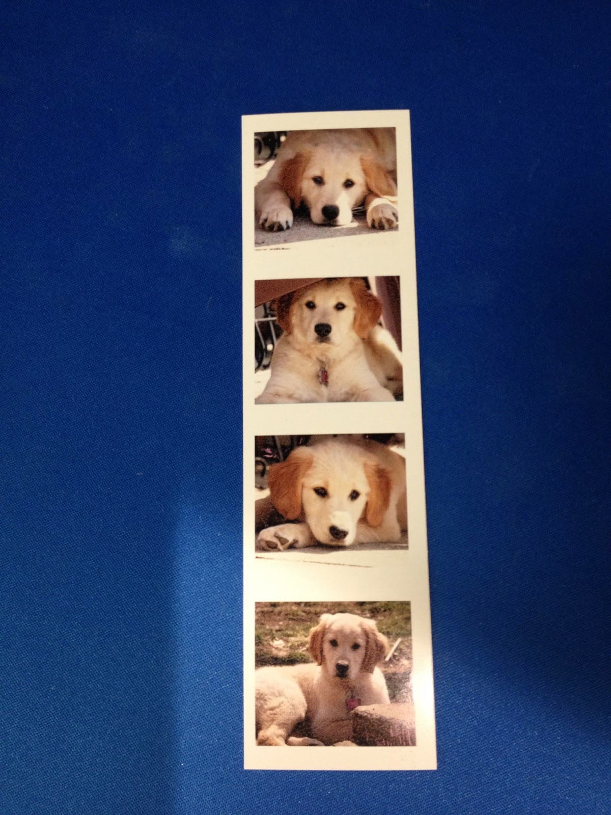 lorrie-s-story-photoshop-template-for-instagram-photostrip