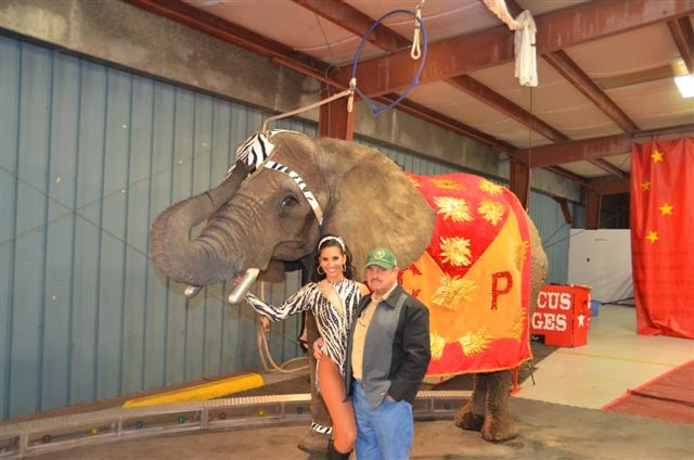 Buckles Blog: 2014 Circus Pages #1 (From Josip Marcan) Buckles Blog: 2014 Circus Pages #1 (From Josip Marcan)