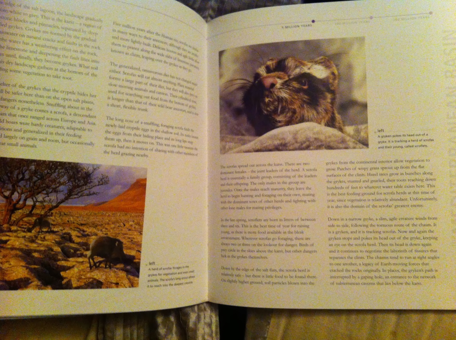 Waugh Illustration The Future is Wild book version