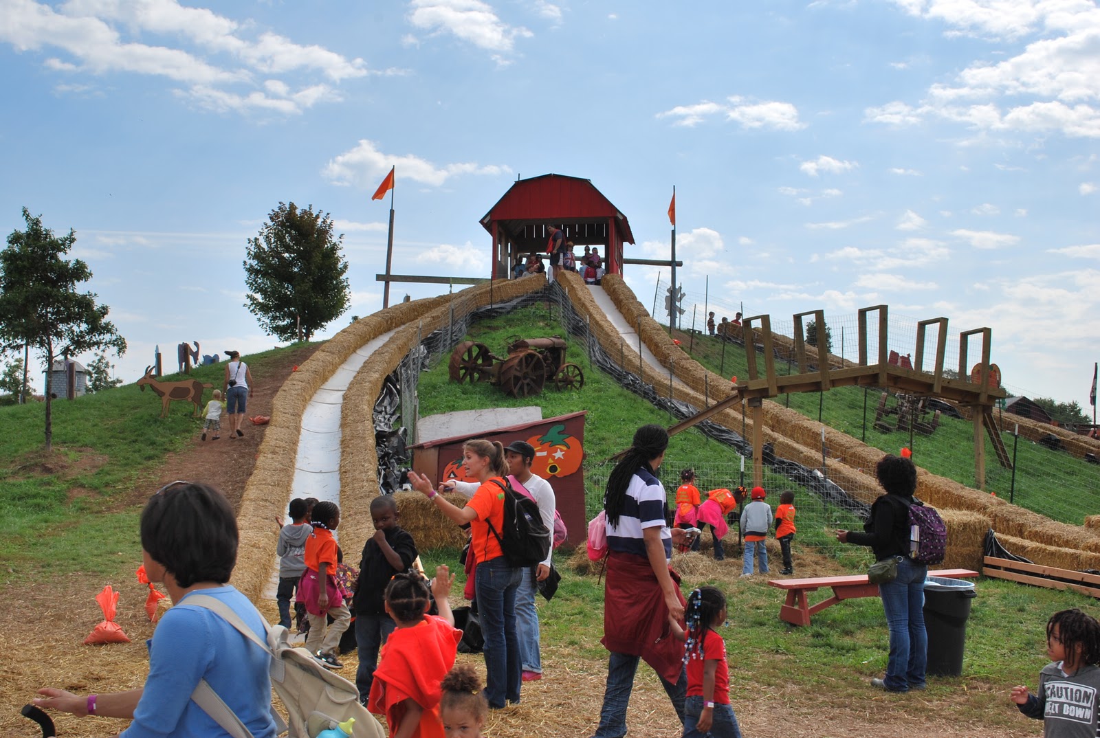 The Next Best Thing..... Cox Farms in Centreville, VA!