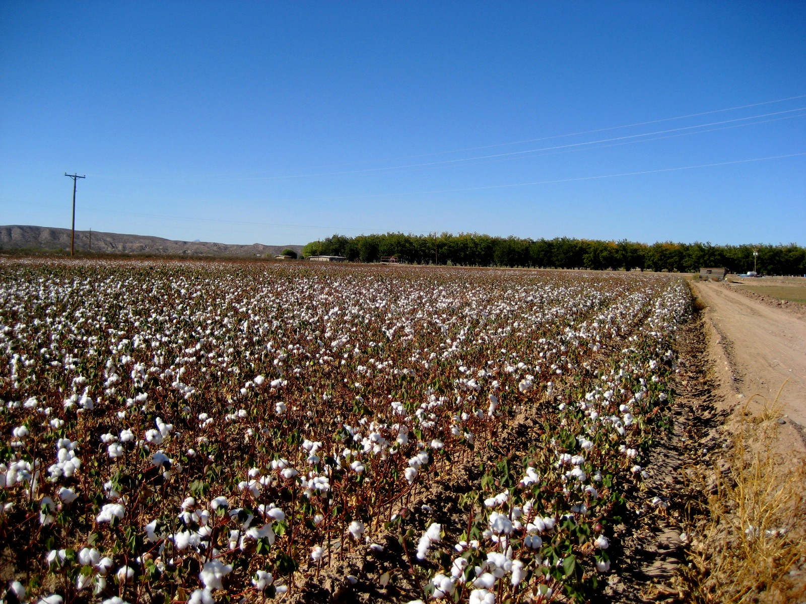 Living Rootless Derry, New Mexico A DriveBy