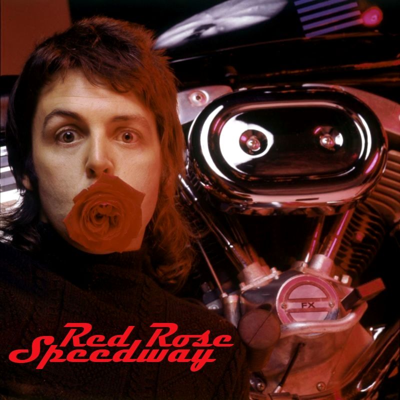 Albums I Wish Existed Paul McCartney