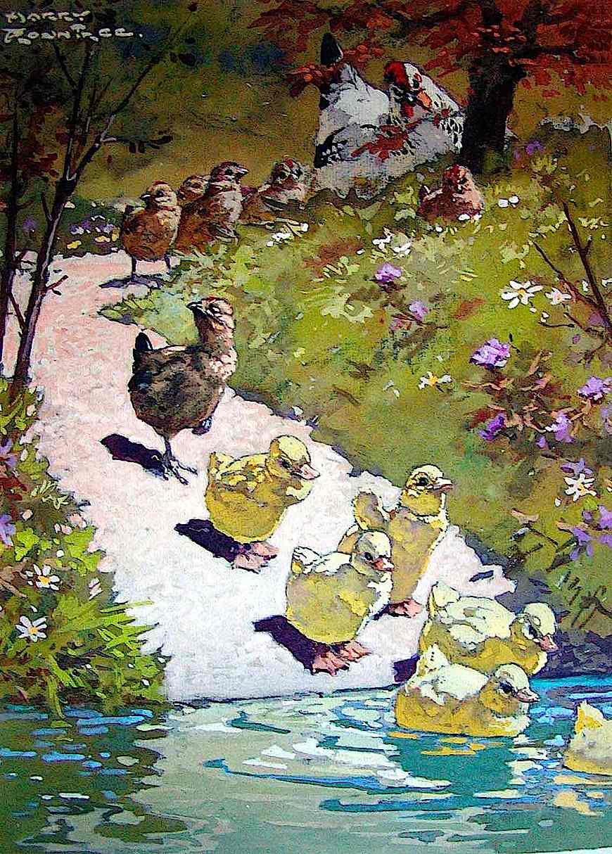 Harry Rountree The Ugly Duckling a Harry Rountree children's book color illustration for The Ugly Duckling