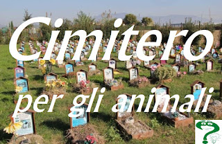 cimitero animali cimitero animali