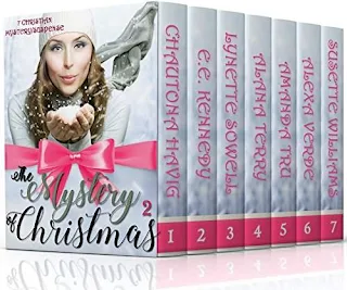 THE MYSTERY OF CHRISTMAS 2 (7 New Christian Mystery/Suspense Novellas)