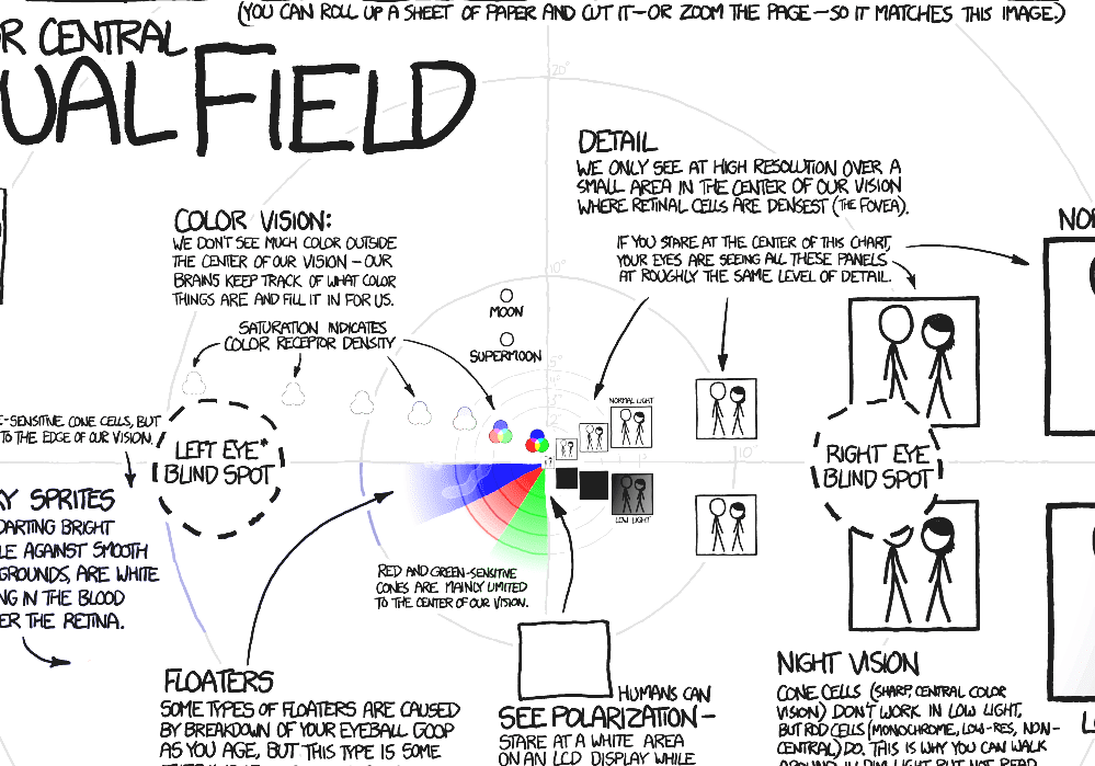 Field Of View Human Visual Field