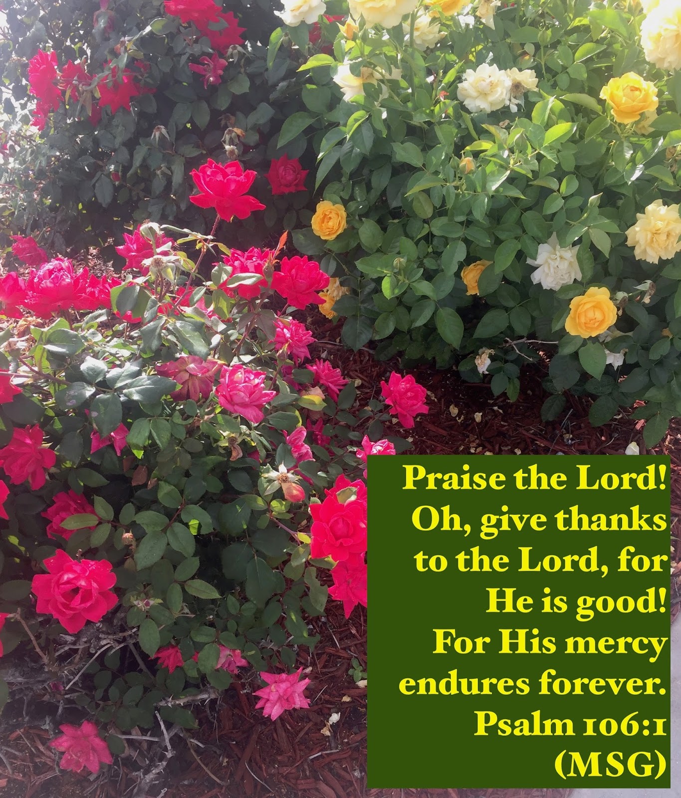 My Strength Psalm 106 1 In Awe my-strength-psalm-106-1-in-awe