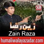 https://www.humaliwalyazadar.com/2018/09/zain-raza-nohay-2019.html