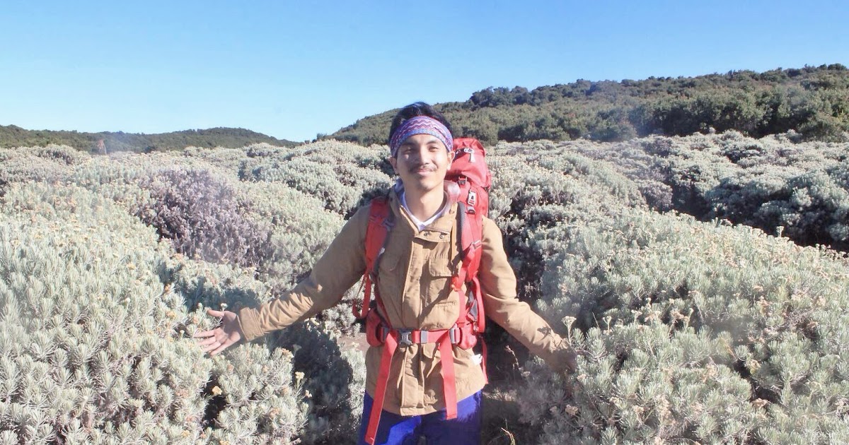 Terserah.kata: ABOUT ME