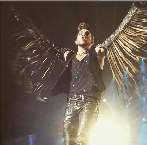 Interesting Musings Of A Queen Fan Club Member: Freddie Mercury, Adam