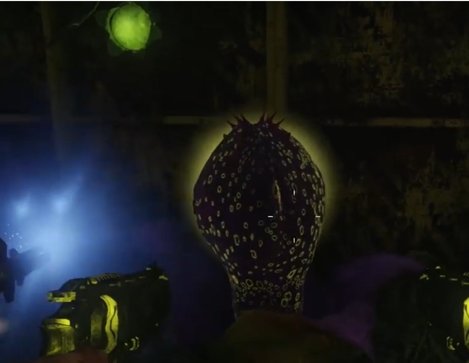 Zombified Call Of Duty Zombie Map Layouts, Secrets, Easter Eggs and