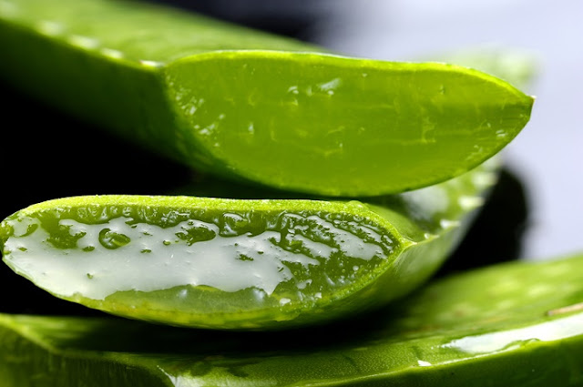 How to Use Aloe Vera to Get Rid of Acne