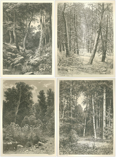 Shishkin's Print Albums