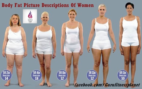 Average Body Fat For Women 20