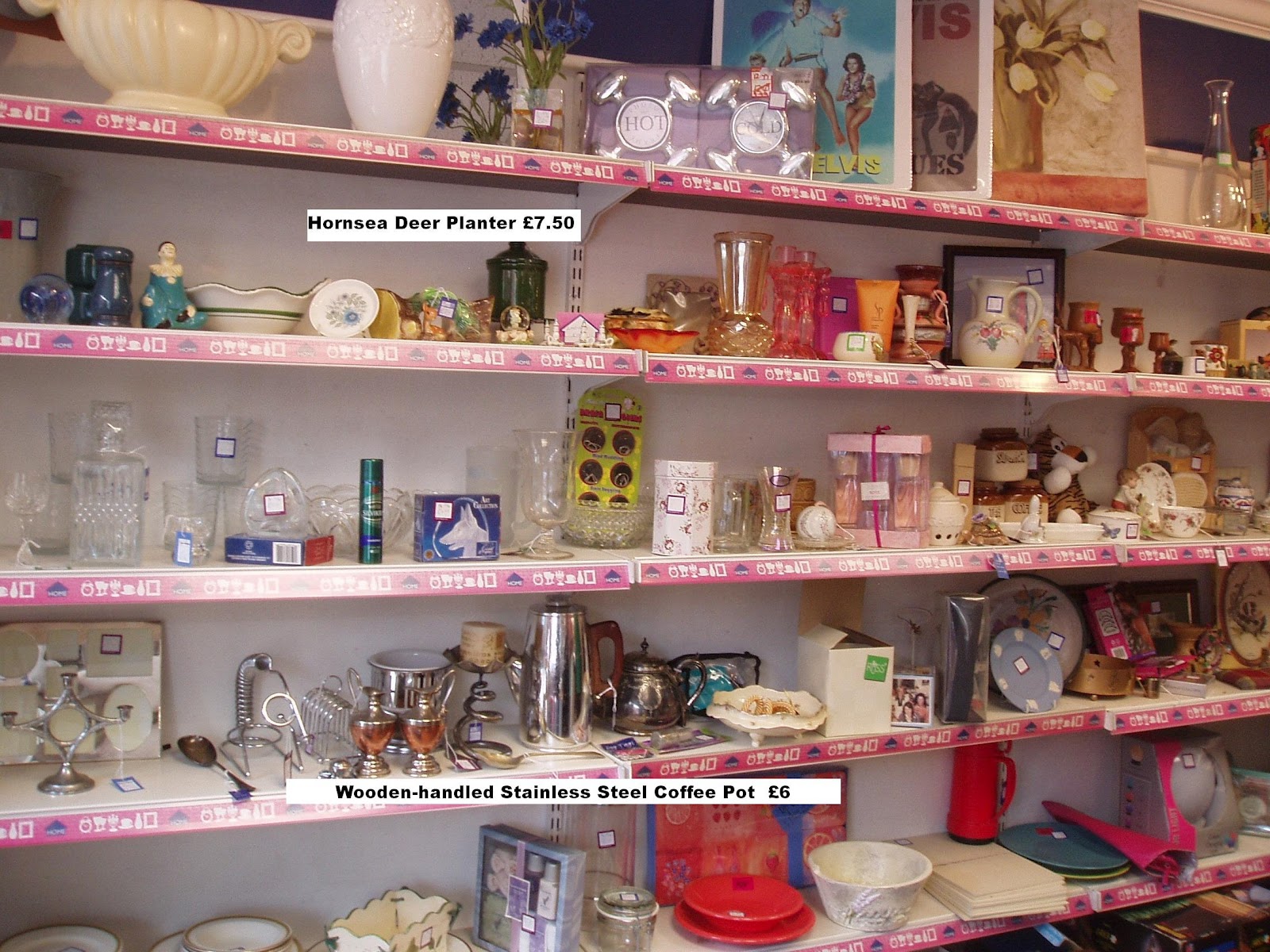 custardino Charity Shopping in Derby