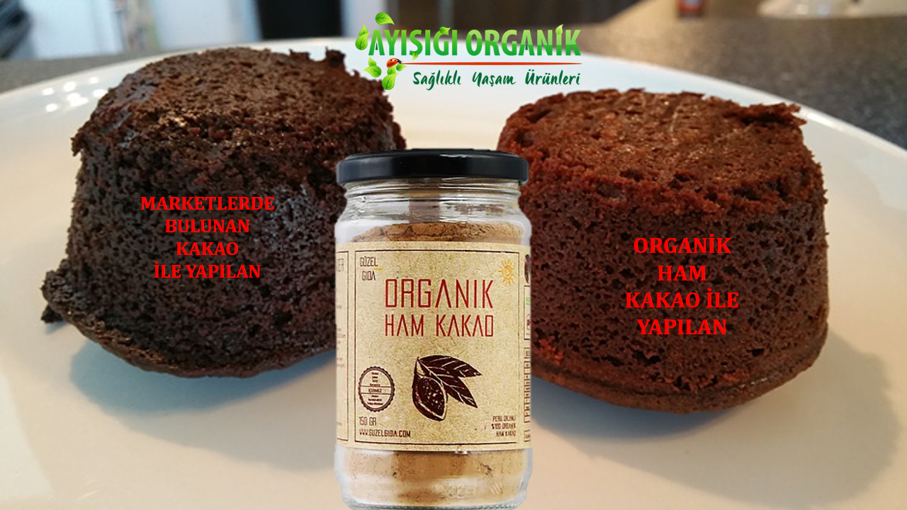 Ayışığı Organik: Ham kakao nedir