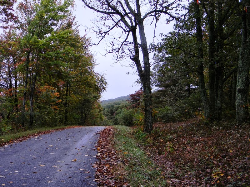 SWAC Girl Old Howardsville Turnpike