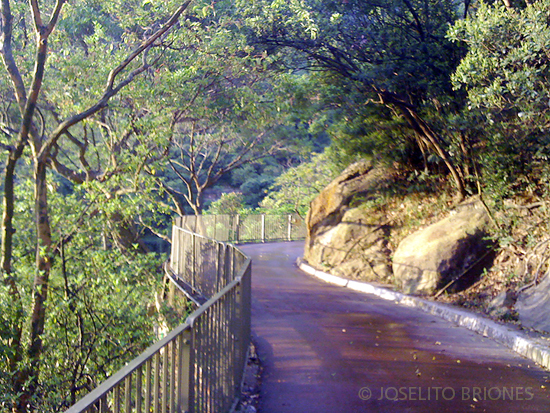 jogging path in bowen road, hong kong - photo by joselito briones