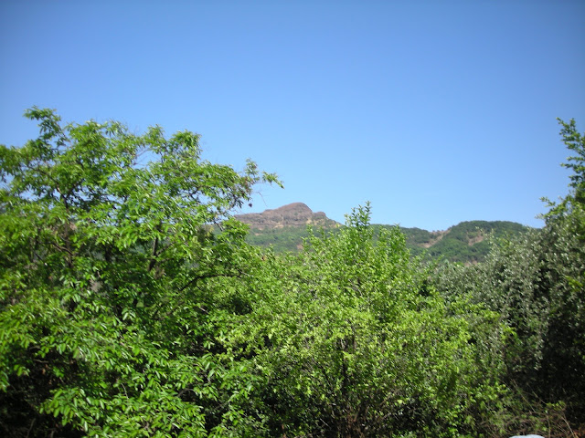 Madhumakarandgad6