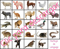 https://www.dropbox.com/s/alcow3yy1o5jtdz/Lotopuzle%20animales.jpg?dl=0