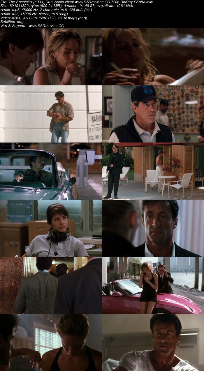 The Specialist (1994) Dual Audio 300MB BluRay Full Movie Download