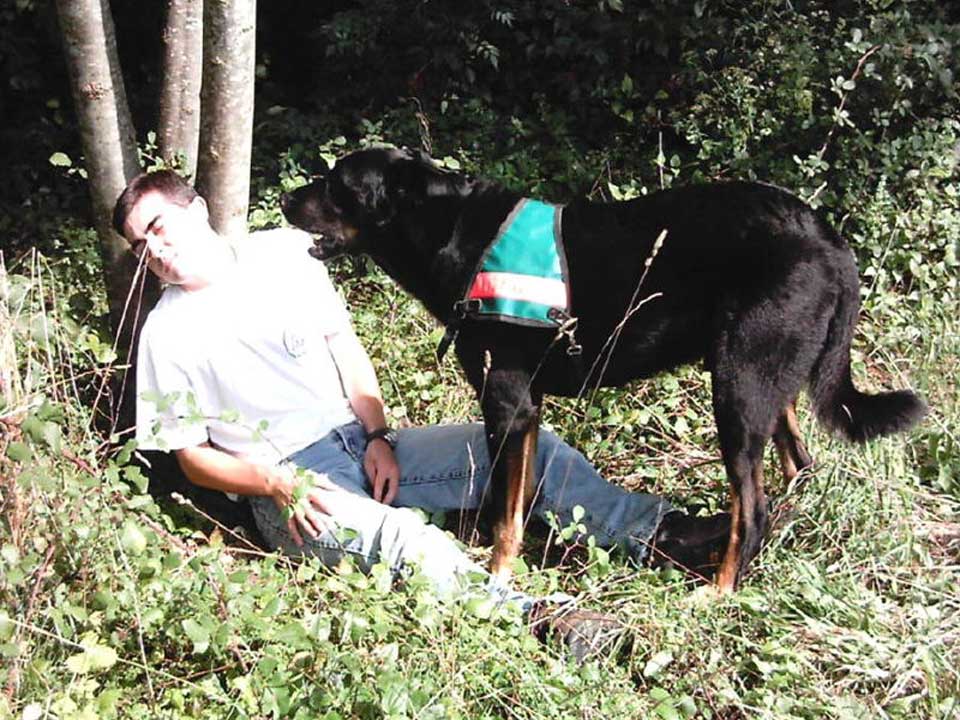 Beauceron Excellent Search and Rescue Dogs Best Puppys