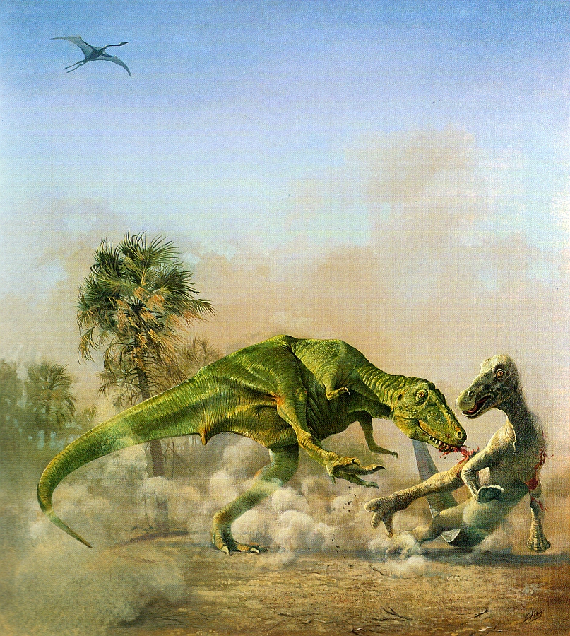 Tyrannosaurus.jpg