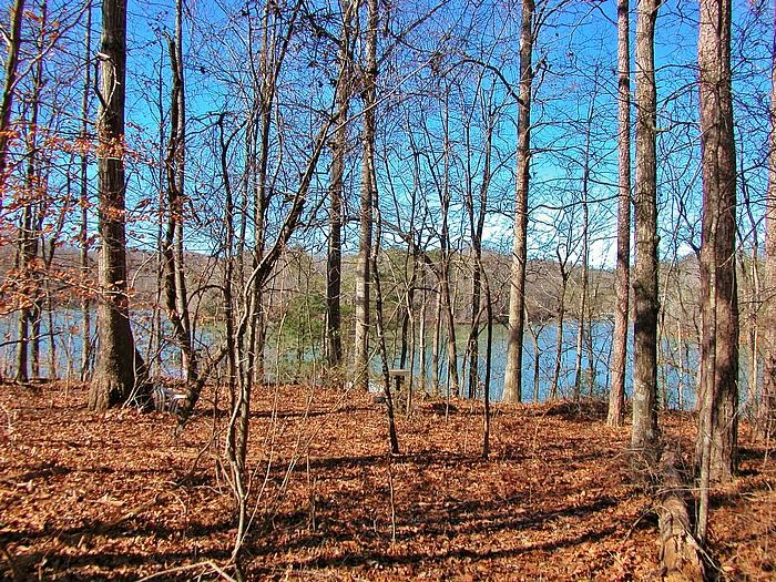 Lake Sidney Lanier Homes Blog This Excellent Waterfront Lot For Sale