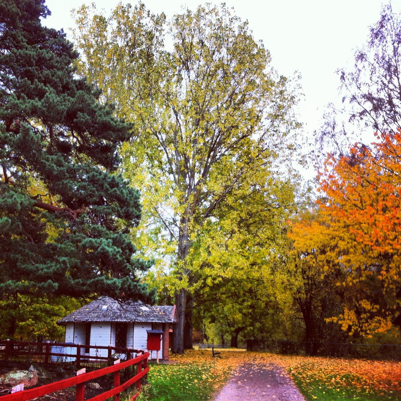 My Exchange Semester in Linköping: Winter is coming...