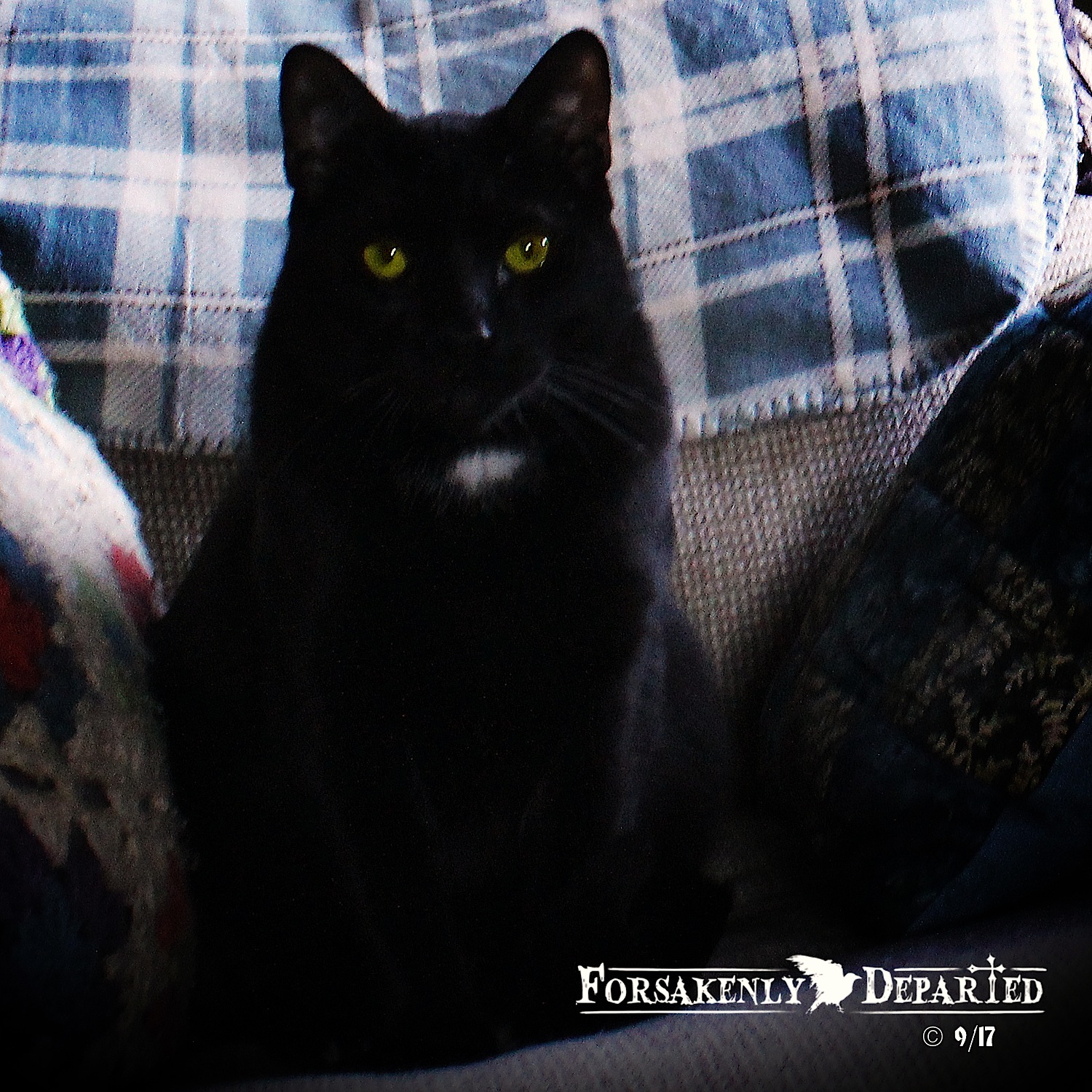 The Bonnie Wee Prince Of The Cat Sith Kindle Edition By Starr