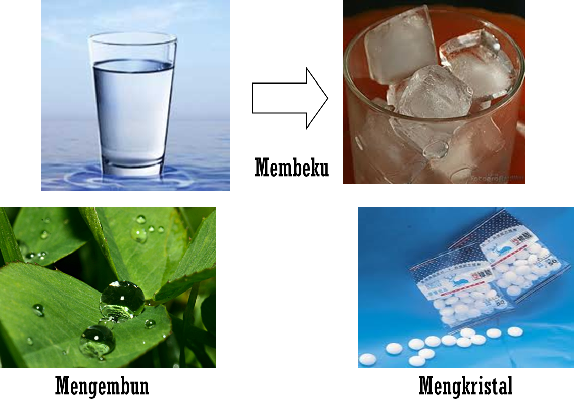 Tren Gaya 39+ Contoh Membeku