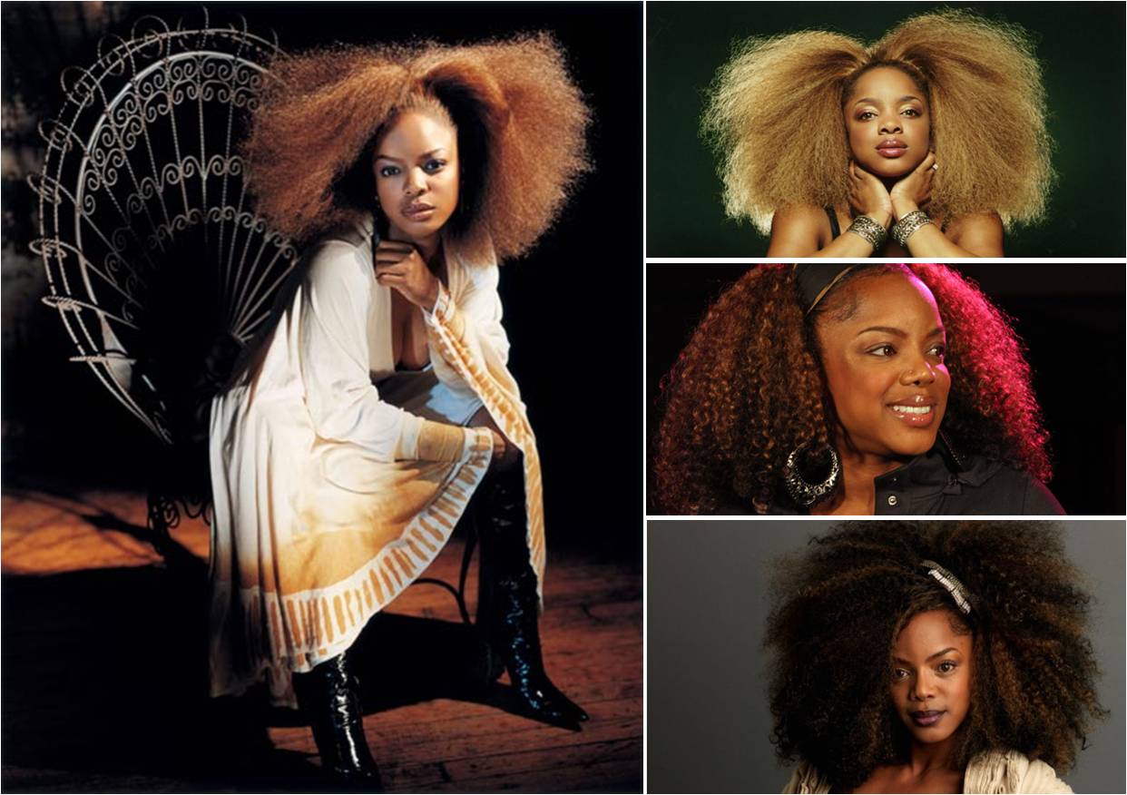 AFROMAG: Celebrity hairstyle: Leela James