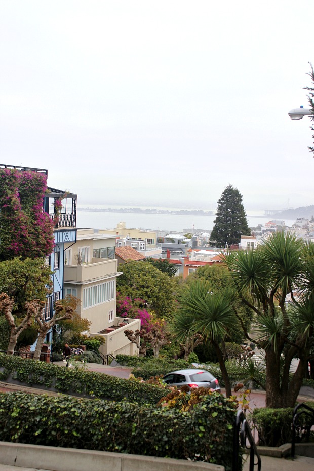 San Francisco Blogger Travel Diary/Guide, eats/shops/to do