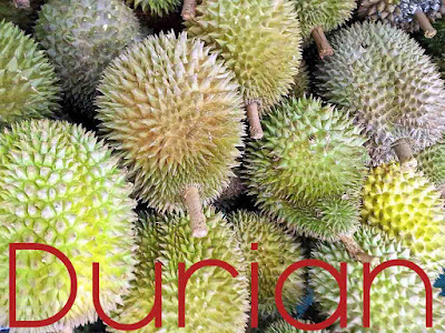 Tips dan Cara Memilih Durian Berkualitas Harum dan Manis
