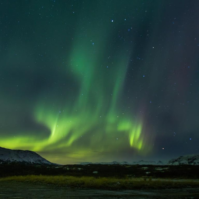 Erstes Februarwochenende Frische Brise Bloglovin