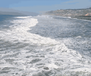 Silly%2BGIF%2B00111.gif