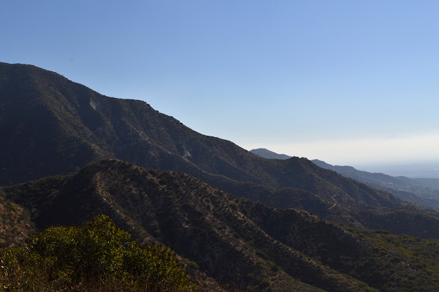 ridges